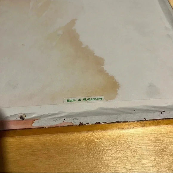 Vintage Framed Pressed Dried Flowers Boho Style Made W. Germany 9”x12” - Picture 5 of 7